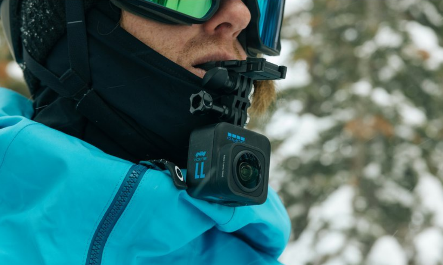 bite mount